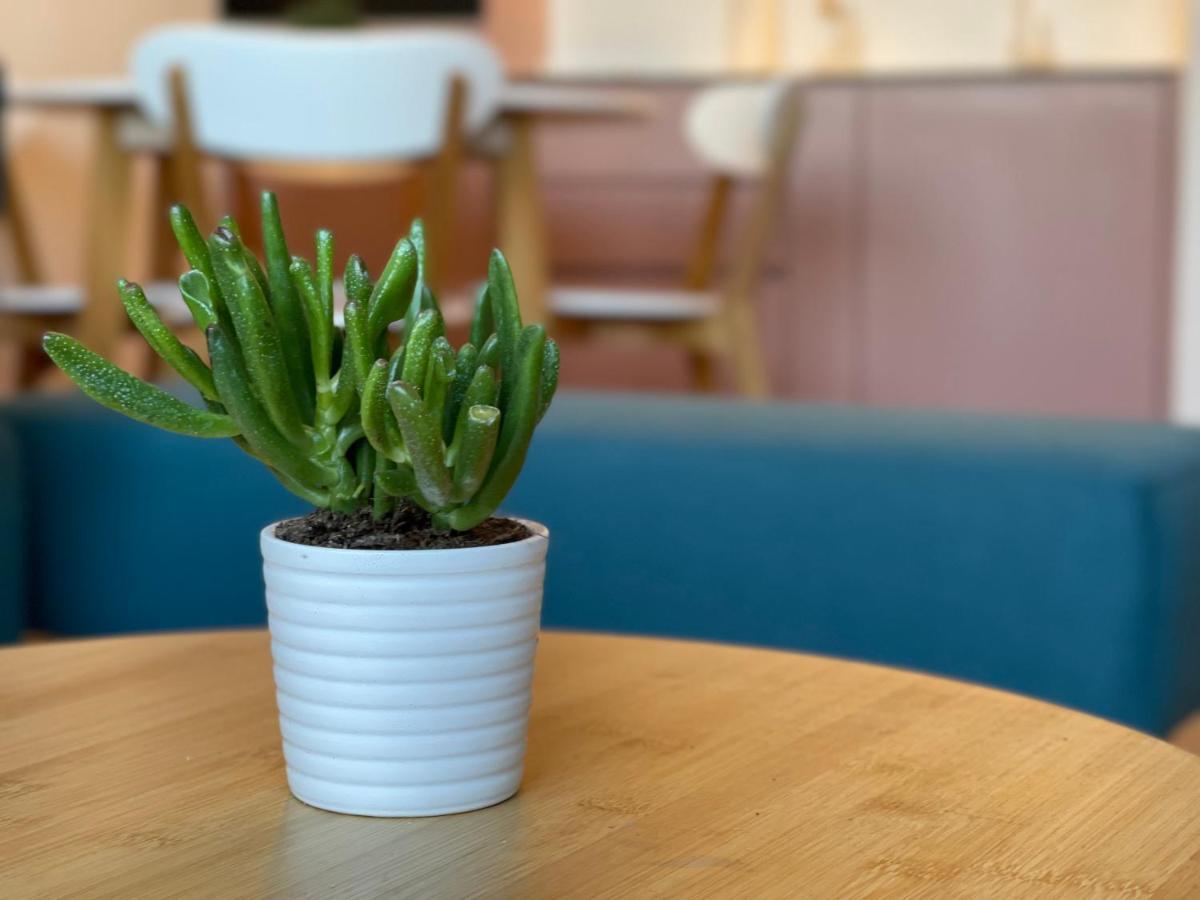 Floral Inn Pristina Eksteriør billede
